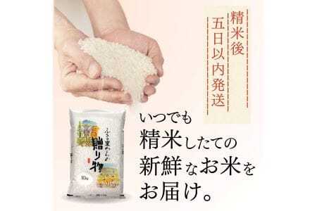 【定期便】 【令和6年産】 広島県産 あきさかり お米マイスター厳選  30kg(10kg×3回）