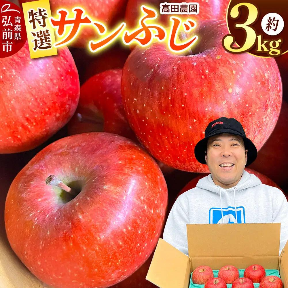 りんご 特選 サンふじ 約3kg【11月下旬～発送】りんご