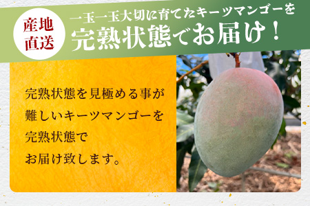 《2025年7月下旬～8月下旬発送》【先行予約】最高糖度23度！？ 完熟！7Lサイズ 幻のキーツマンゴー【 沖縄 石垣島 石垣 八重山 マンゴーキーツマンゴー 期間限定 数量限定 沖縄県 石垣島産 完