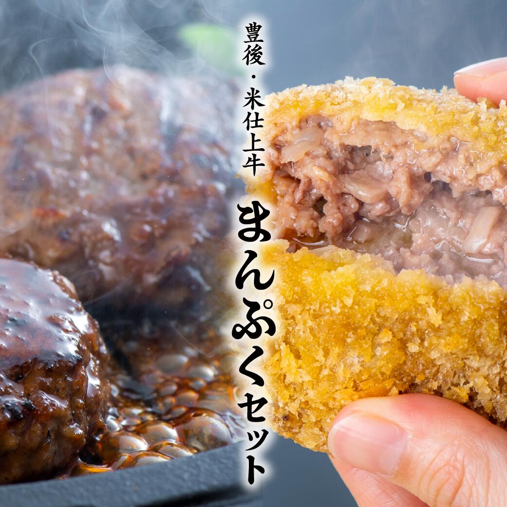 0C1-102 豊後・米仕上牛ハンバーグ、メンチカツセット（計10個）
