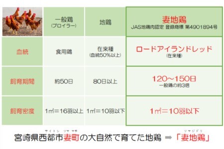 妻地鶏骨付もも焼詰合せ45　380g×3本＜1.5-111＞