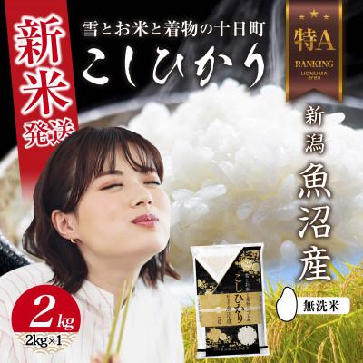 ふるさと納税 十日町市 【令和8年産 新米】 無洗米 魚沼産 コシヒカリ 2kg (お米の美味しい炊き方ガイド付き)