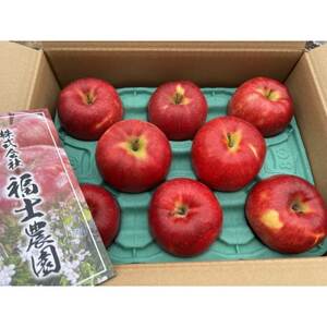 「葉とらずサンジョナ」約3kg・訳あり家庭用りんご【配送不可地域：離島・沖縄県】【1491235】