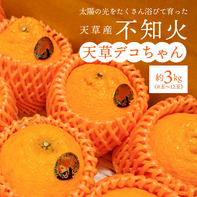 【ふるさと納税】不知火 約 3kg 8 ～ 12玉 箱 天草産 柑橘 旬 果物 フルーツ 果樹園 しばた農園 みかん デザート スイーツ 食品 国産 お取り寄せ お取り寄せフルーツ 常温配送 熊本県 天草市 送料無料