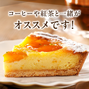 自家製アンズジャムを混ぜ込んだアーモンドクリーム！ アンズのタルト18㎝ シェフお気に入り アンズ タルト 18cmサイズ 6人分 ～ 8人分 自家製アンズジャム アーモンドクリーム ケーキ 焼き菓子