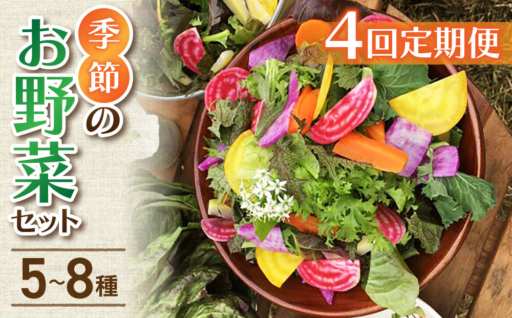 
【４回定期便】季節のお野菜セット（２〜３人様向け）｜アグロノーム
