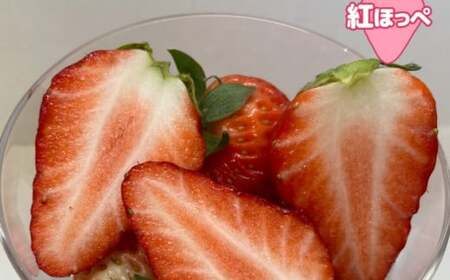 いちご 掛川産 完熟いちご 紅ほっぺ・すず薫り各280g×２P 計４P 1.12kg (5～15粒入×4P)  1月～２月発送 水野農園 6278