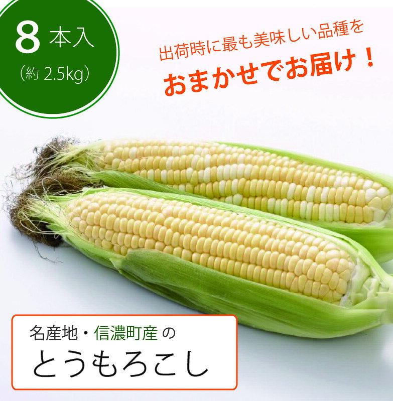 【ふるさと納税】採れたて最旬の『信濃町特産とうもろこし（8本セット：季節限定）』《7月下旬-8月下旬頃出荷予定》 出荷時期により最も美味しい品種を発送します