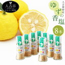 【ふるさと納税】人吉球磨産のゆず塩 球磨川ゆずの香塩 25g×8本 ゆず 塩 調味料 風味 九州 熊本 送料無料