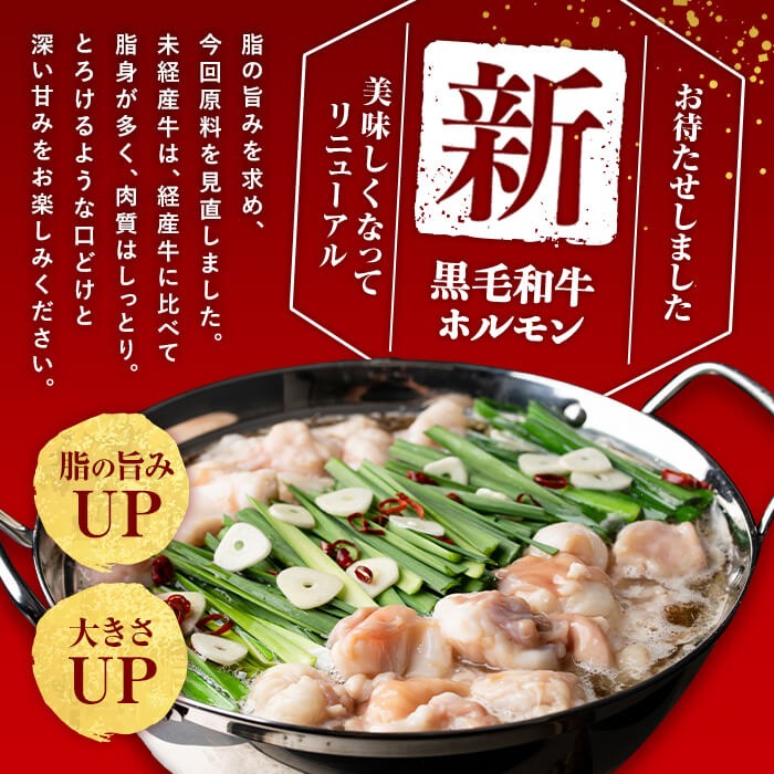 国産黒毛和牛ホルモン もつ鍋セット【醤油味】(6～9人前) a4-122