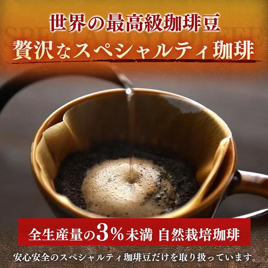 稀少 厳選 珈琲豆 トップスペシャルティーコーヒー 粗びき 200g × 2袋 | コーヒー すぎた珈琲 奈良県 平群町