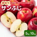 【ふるさと納税】先行予約 訳あり りんご サンふじ (5kg 8,000円 / 10kg 1,5000円) 量が選べる【2025年11月中旬～お届け】【令和7年産】2025年産 ご 家庭用 キズ等 規格外 不揃い 傷 先行受付 期間限定 数量限定 フルーツ 果物 くだもの 山形産 お試し 山形県 米沢市