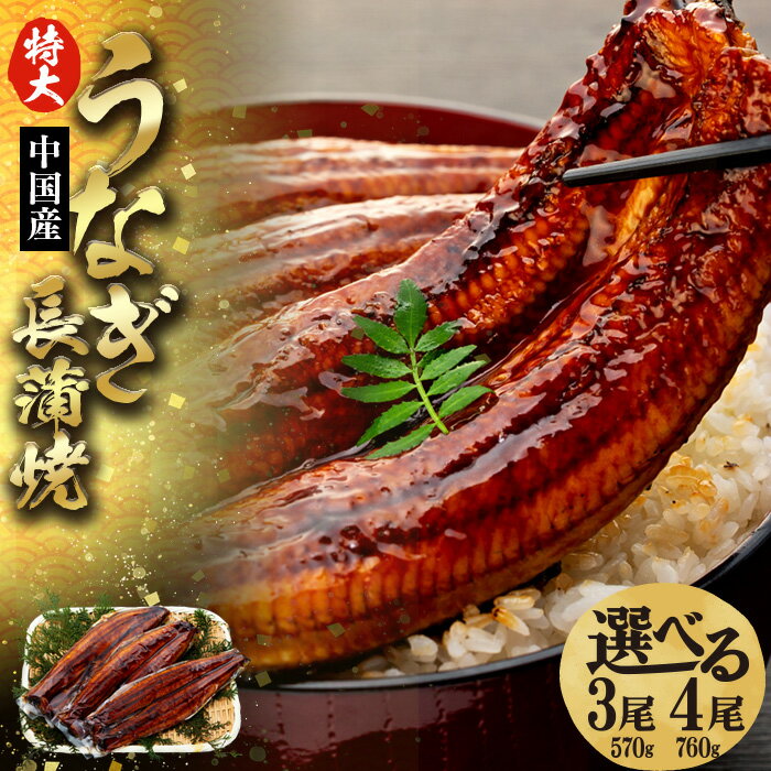 【ふるさと納税】特大うなぎ長蒲焼 570g〜760g 冷凍 鰻 うなぎ ウナギ 蒲焼き 蒲焼 タレ 真空パック お取り寄せ グルメ うな重 ひつまぶし ふるさと 納税 千葉県 長生村