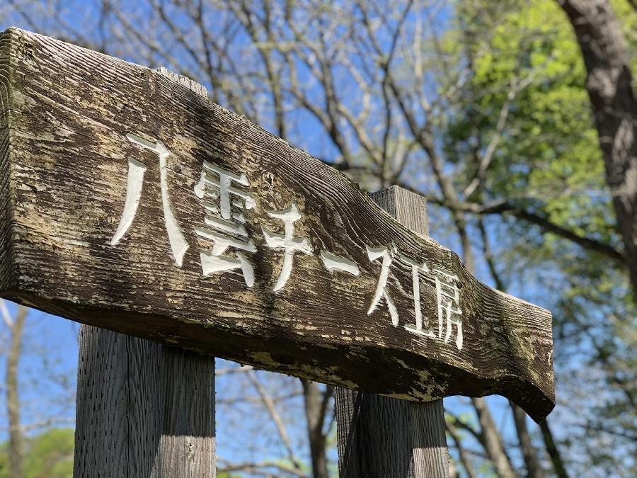 北海道八雲百花はちみつ780g(130g×6本)【ハチミツ はちみつ 蜂蜜 セット 百花はちみつ 百花密 ハニー 食品 お取り寄せ お取り寄せグルメ 八雲町 北海道 年内発送 年内配送 】