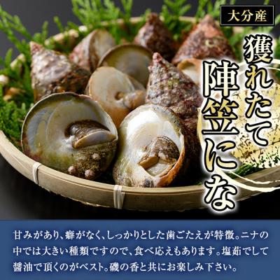 ふるさと納税 佐伯市 ＜お試し用＞陣笠にな (約1kg) |  | 02