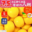 【ふるさと納税】八朔 (はっさく) とにかく 小玉 箱込 7.5kg(内容量約 6.8kg) 秀品 優品 混合 Sサイズ以下 和歌山県産 産地直送【おまけ付き】【みかんの会】 | みかん 八朔 和歌山 大玉 秀 優 産地直送 和歌山県 有田川町 ふるさと納税 返礼品 故郷納税