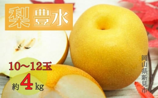にいみの梨(豊水) 約4kg 10～12玉 【先行予約 2026年9月上旬から順次発送】