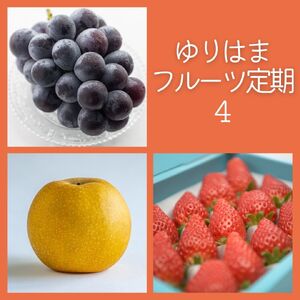 フルーツ 定期便 3種 果物 鳥取県産 ゆりはま 4 | 38M