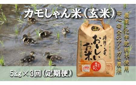 【3回定期便】令和7年度産コシヒカリ 「カモしゃん米」（玄米）5kg 【 こしひかり お米 農家直送 無農薬 化学肥料不使用 精米 安心 安全 新米 令和6年度産 D-154】