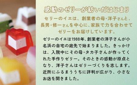 スパリゾートハワイアンズ   ファミリー向け 王道日帰りプラン 施設利用券10,000円分（5,000円分×2枚）＋ゼリー12個詰め合わせセット | 利用チケット 入場券 ホテルハワイアンズ モノリス