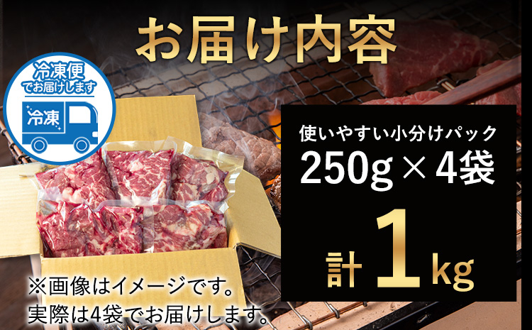 あか牛 赤身焼肉用 1kg (250g×4個) 有限会社幸路《60日以内に出荷予定(土日祝除く)》あか牛 あかうし 赤牛 焼肉 冷凍 小分けパック