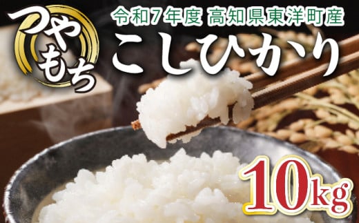 ＜2025年11月発送＞令和7年産コシヒカリ 10kg【S138】
