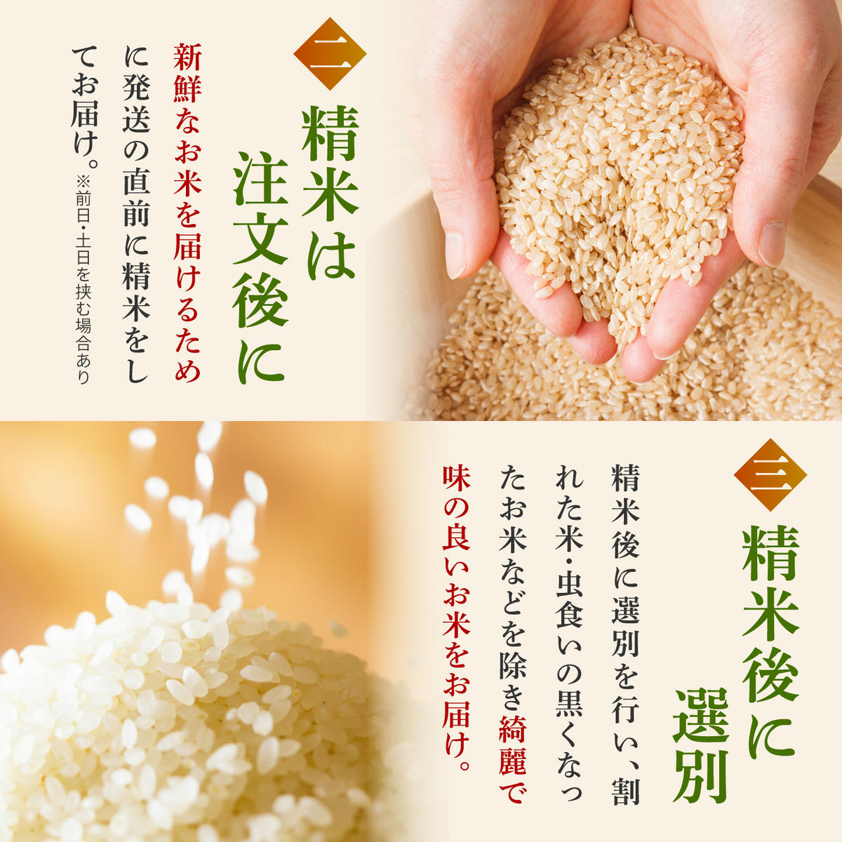 【5kg✕3回定期便】【令和7年産】さがびより 計15kg（5kg✕3回）吉野ヶ里町/増田米穀  [FBM002]