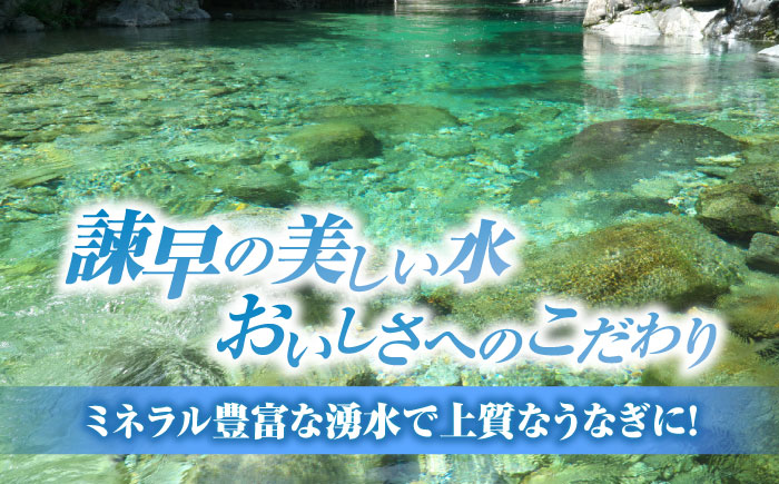 ＜諫早淡水＞うなぎ白焼き6尾 / うなぎ ウナギ 鰻 白焼き 白焼 しらやき 冷凍 丑の日 土用の丑の日 国産 小分け / 諫早市 / 活うなぎ問屋 諫早淡水 [AHAT013]