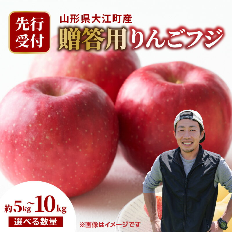 【ふるさと納税】《先行受付》大江町産 贈答用リンゴふじ 選べる内容量（約5kg～10kg 18玉～36玉前後）【2025年11月下旬頃～順次発送予定】 山形県 大江町産 ふじ りんご 贈答用 選べる内容量 5キロ 18玉前後 10キロ 36玉前後 産地直送 甘い しゃきしゃき 旬の果物