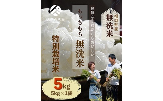 
                  令和8年産【先行予約】久保山百年米 特別栽培米 無洗米 5kg 夢つくし/元気つくし【お米 米 ご飯 ごはん ブランド 元気つくし 夢つくし 農家直送 福岡県 筑前町 BT054】
                