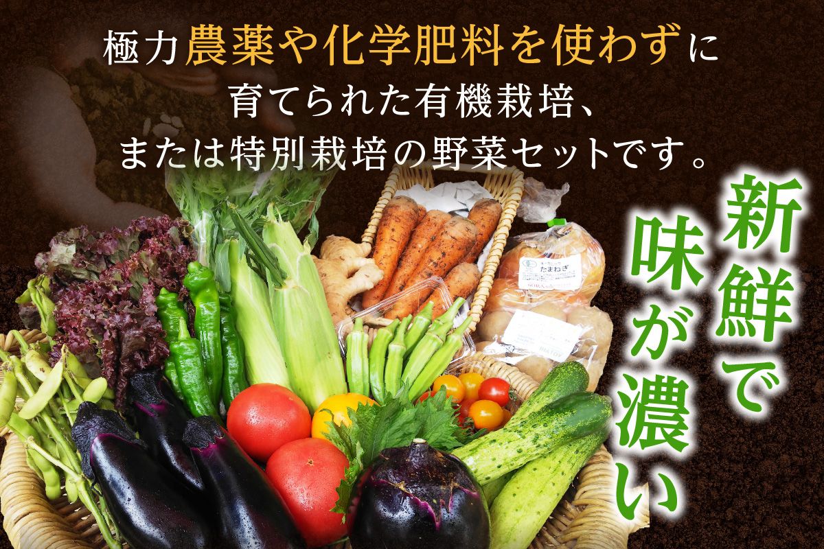 京の旬野菜セットS（栽培期間中農薬・化学肥料不使用）　AY00004