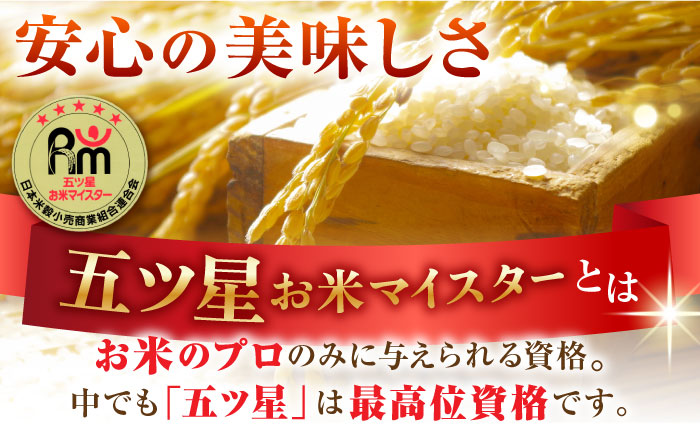 【14年連続 特A受賞】令和5年産 新米 さがびより 無洗米 2kg×2袋（真空パック）【五つ星お米マイスター厳選】特A米 特A評価 [HBL012]