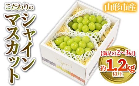 【満足の2～3房】こだわりのシャインマスカット 約1.2kg 山形市産 (9月中旬～10月上旬順次発送)【令和7年産先行予約】 FS24-544くだもの 果物 フルーツ 山形 山形県 山形市 2025年産