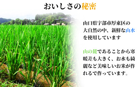 【先行予約／令和8年産新米】 ヒノヒカリ 30Kg ［玄米］ 玄米