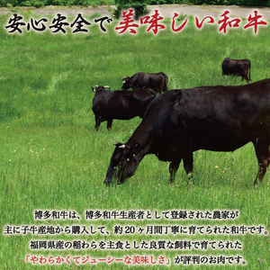 【ふるさと納税】博多和牛 牛すじ 約1kg A5～A4ランク [a0234] 株式会社マル五 ※配送不可：離島【返礼品】添田町 ふるさと納税