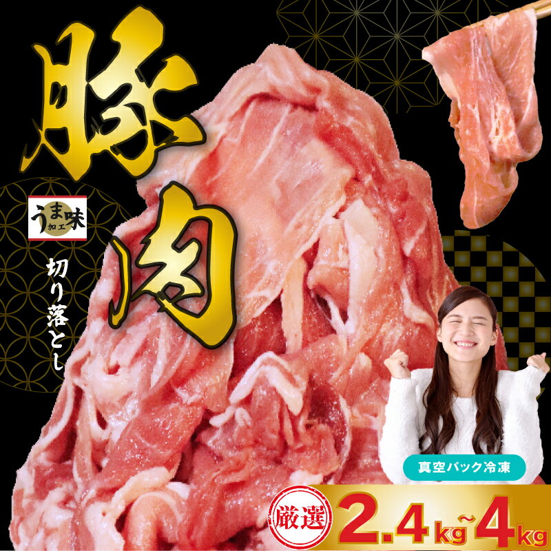 【ふるさと納税】 訳あり 豚肉 2.4kg ~ 4kg 冷凍 真空 小分け 400g ×6Por10P 大容量 国産 にく ブタ お肉 腕orモモ肉 スライス 切り落とし 便利 簡単調理 惣菜 ポーク カレー 生姜焼き 肉じゃが 豚汁 焼肉 BBQ 家族 人気 福岡県 川崎デリカ