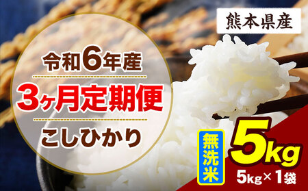 【3ヶ月定期便】令和6年産 定期便 こしひかり 5kg 無洗米 阿蘇 うぶやま 米 定期便 熊本県産 ふるさと納税 精米 ひの 米 こめ ふるさとのうぜい コシヒカリ コメ お米 おこめ《申込み翌月から出荷》