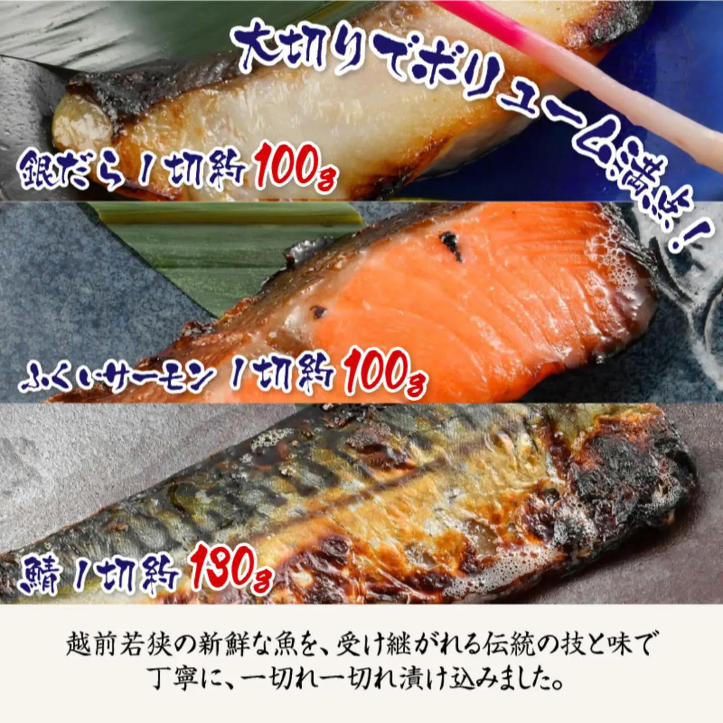 食の力セット 極（銀だら・ふくいサーモン・鯖）13種魚 海鮮