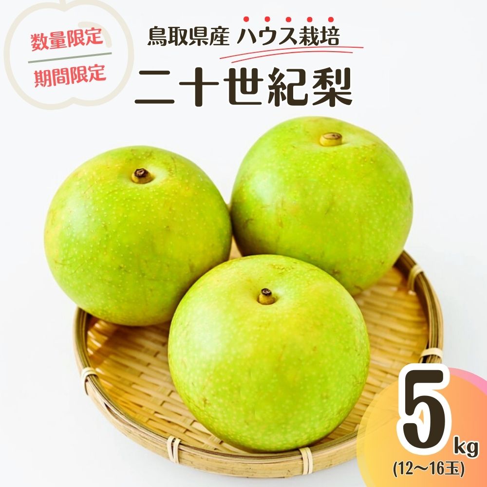 【ふるさと納税】【先行予約・数量限定】ハウス二十世紀梨 鳥取県産 5kg 令和6年産 （生橋農園）梨 鳥取 5kg 果物 フルーツ 和梨 先行予約 数量限定 詰め合わせ 二十世紀梨 20世紀梨 今が旬 人気 甘い
