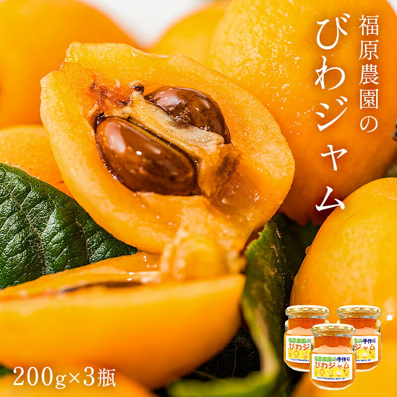 【ふるさと納税】 福原農園のびわジャム 200g×3瓶 セット 千葉県 南房総市 枇杷 房州びわ フルーツ 果物 果実 国産 ジャム パン ヨーグルト 詰合せ ギフト お取り寄せ グルメ 送料無料
