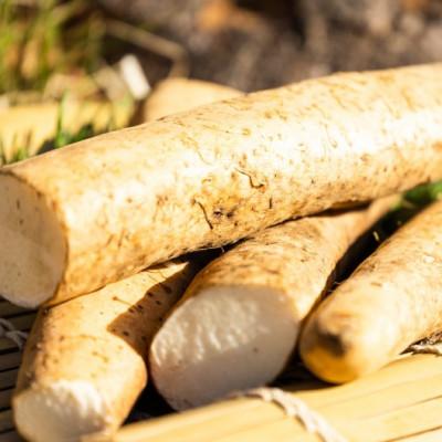 ふるさと納税 松崎町 婆娑羅農産の自然薯カット 4パック |  | 02