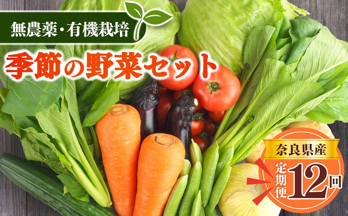 
【定期便12回】生命の農法（無化学農薬・無化学肥料栽培）季節の野菜セット
