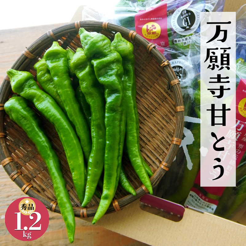 万願寺甘とう 1.2kg 150g×8袋 京野菜 万願寺とうがらし 辛くない 舞鶴発祥 地場野菜 野菜 小袋 箱入り 農協 JA 京都府 舞鶴市