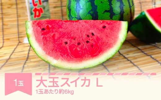 
                  【先行予約】 すいか 大玉 L×1玉入り 令和8年産 山形県村山市産 mk-su1xx1
                