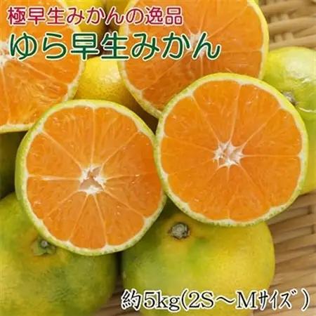 【極早生みかんの逸品】有田産ゆら早生みかん 約5kg【日高町】【1217633】