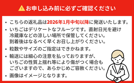 【2026年1月中旬発送開始】 いちご とちおとめ 恋みのり にこにこベリー とらいべりー 280g × 4  平パック 苺 イチゴ フルーツ 果物 ストロベリー ベリー デザート 甘み 酸味 宮城県