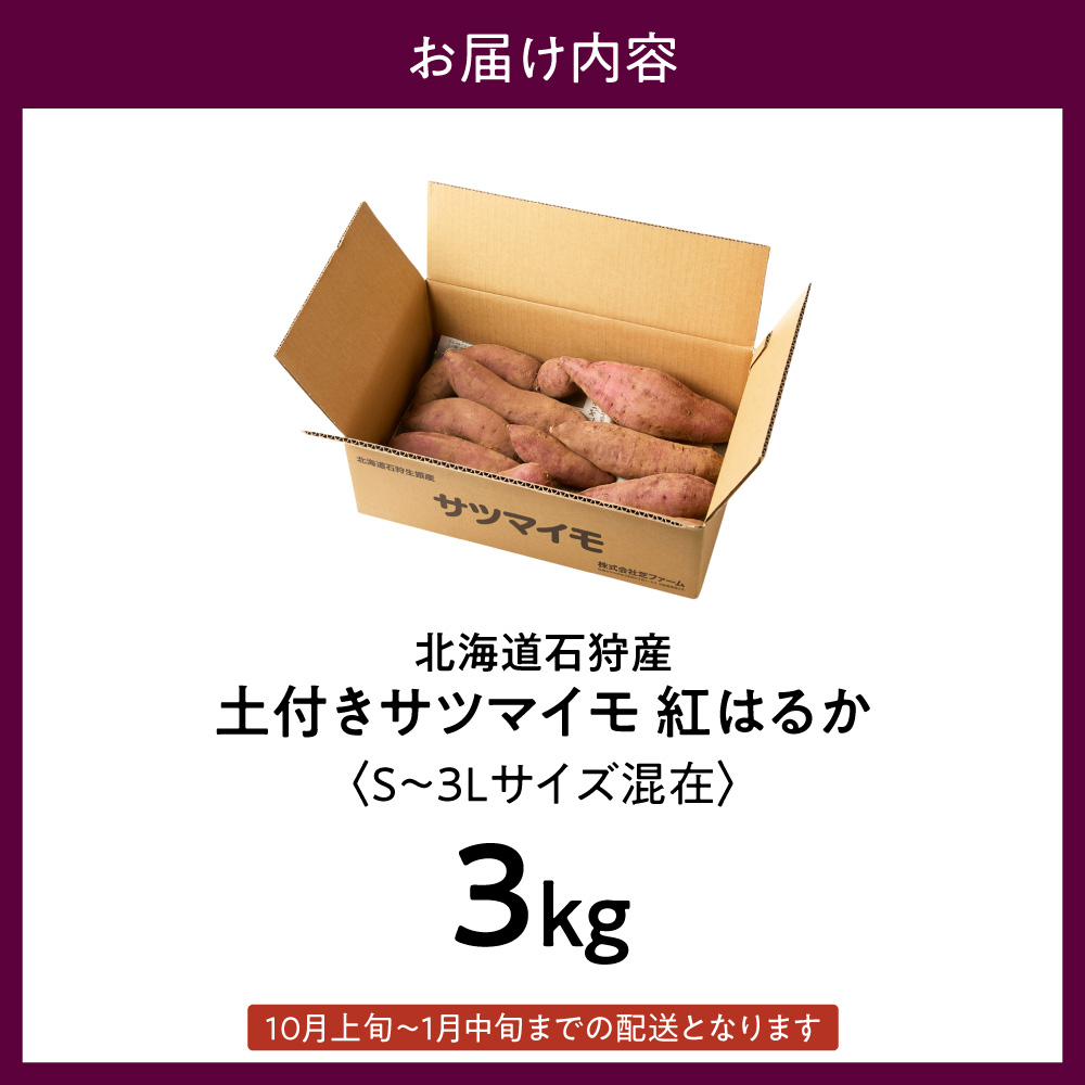 【先行予約】石狩産 土付サツマイモ 紅はるか（S～3Lサイズ混在） 3kg【10月発送】 | さつまいも サツマイモ 芋 北海道 石狩市_is106-001-000