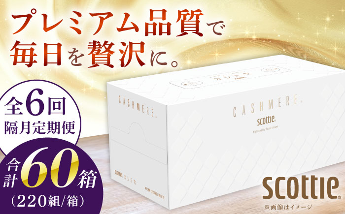
            【全6回定期便(2ヵ月に1回)】K03 クレシアギフト カシミヤ スコッティ 10箱 ティッシュ ペーパー【日本製紙クレシア株式会社】開成町 ティッシュ ティッシュペーパー まとめ買い ボックスティッシュ [BDAM034]
          