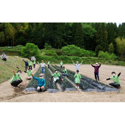 ふるさと納税 上郡町 働く食物繊維モロヘイヤ100%『あおつぶ』　兵庫県上郡町の恵み |  | 02