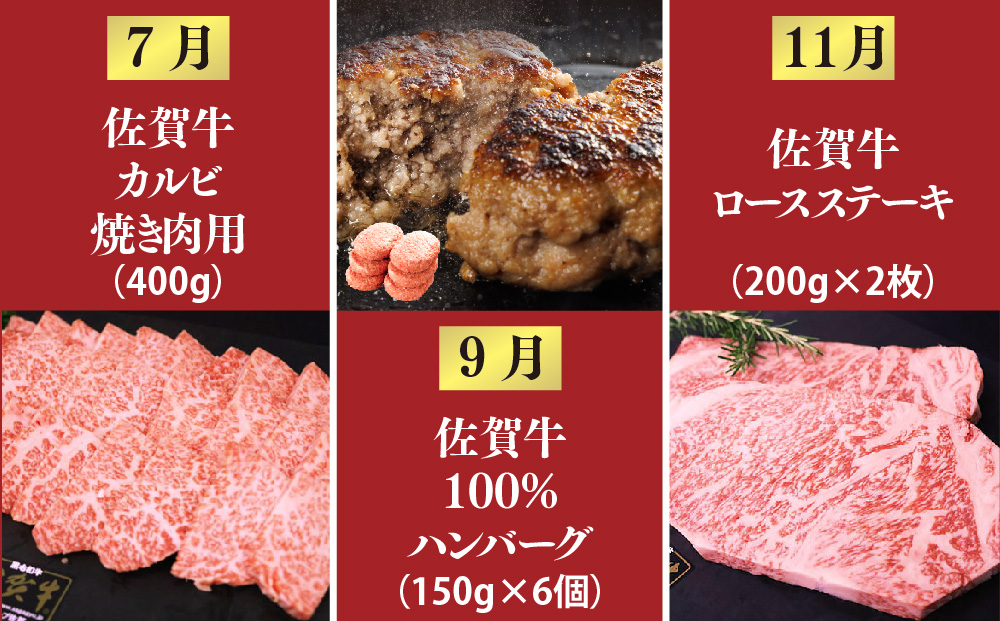 【奇数月発送 全6回定期便】ALL佐賀牛定期便【サーロインステーキ 赤身焼き肉 ハンバーグ カルビ焼肉 100%ハンバーグ ロースステーキ バラエティ豊か】(H118111)